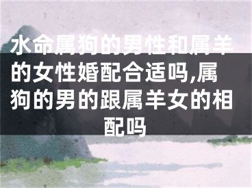 水命属狗的男性和属羊的女性婚配合适吗,属狗的男的跟属羊女的相配吗