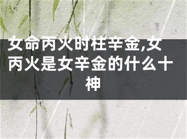 女命丙火时柱辛金,女丙火是女辛金的什么十神