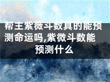 帮主紫薇斗数真的能预测命运吗,紫微斗数能预测什么
