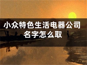 小众特色生活电器公司名字怎么取
