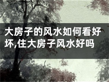 大房子的风水如何看好坏,住大房子风水好吗