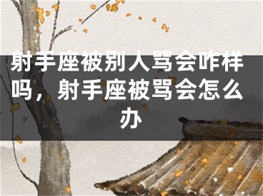 射手座被别人骂会咋样吗，射手座被骂会怎么办