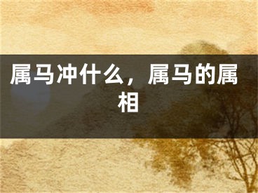 属马冲什么，属马的属相