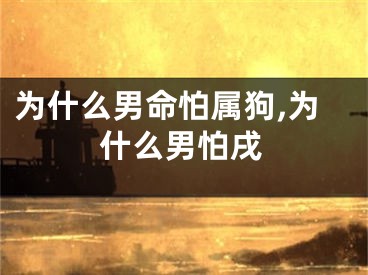 为什么男命怕属狗,为什么男怕戌