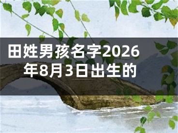 田姓男孩名字2026年8月3日出生的