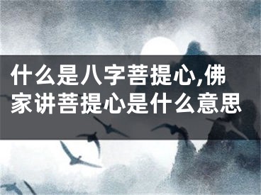 什么是八字菩提心,佛家讲菩提心是什么意思