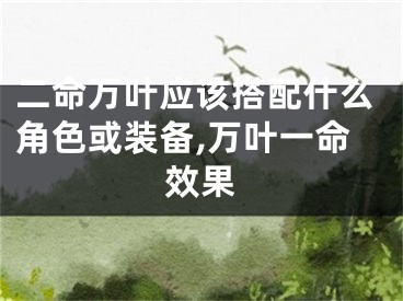 二命万叶应该搭配什么角色或装备,万叶一命效果