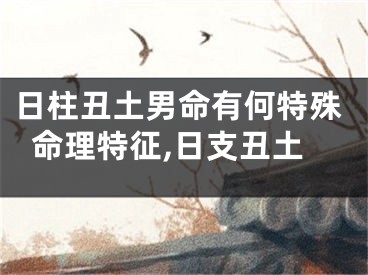 日柱丑土男命有何特殊命理特征,日支丑土