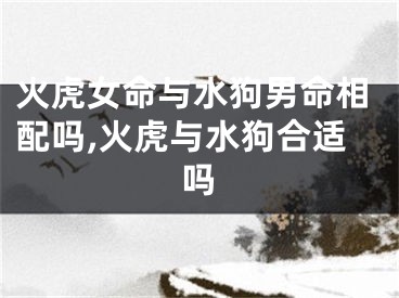 火虎女命与水狗男命相配吗,火虎与水狗合适吗