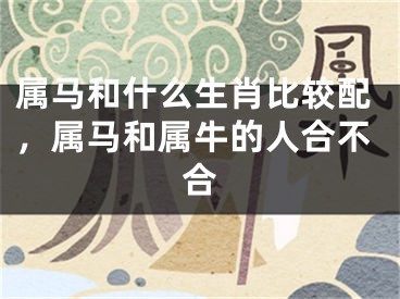 属马和什么生肖比较配，属马和属牛的人合不合