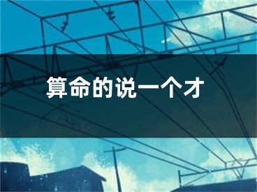 算命的说一个才