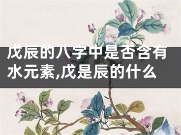 戊辰的八字中是否含有水元素,戊是辰的什么