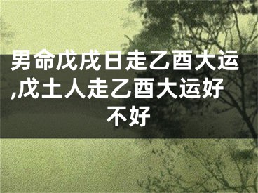 男命戊戌日走乙酉大运,戊土人走乙酉大运好不好