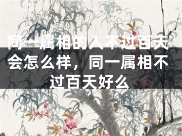 同一属相的人不过百天会怎么样,同一属相不过百天好么