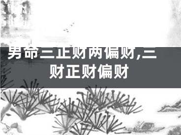 男命三正财两偏财,三财正财偏财