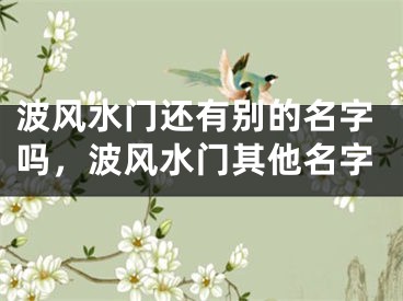 波风水门还有别的名字吗,波风水门其他名字