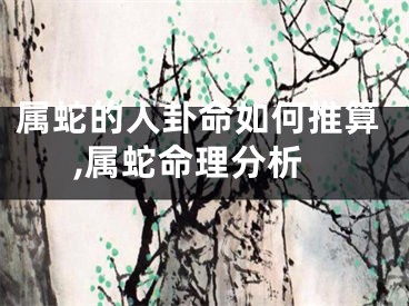 属蛇的人卦命如何推算,属蛇命理分析