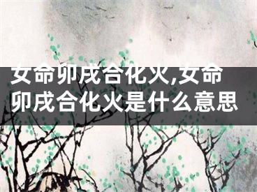 女命卯戌合化火,女命卯戌合化火是什么意思