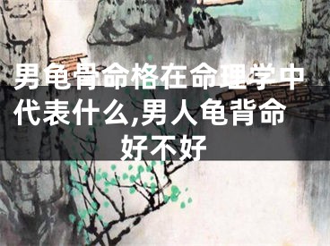 男龟骨命格在命理学中代表什么,男人龟背命好不好
