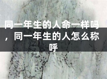 同一年生的人命一样吗，同一年生的人怎么称呼