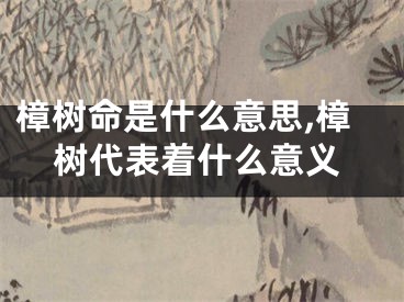 樟树命是什么意思,樟树代表着什么意义