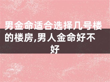 男金命适合选择几号楼的楼房,男人金命好不好