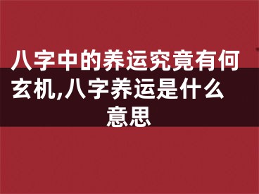 八字中的养运究竟有何玄机,八字养运是什么意思