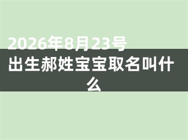 2026年8月23号出生郝姓宝宝取名叫什么