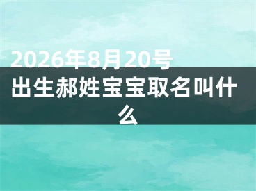 2026年8月20号出生郝姓宝宝取名叫什么