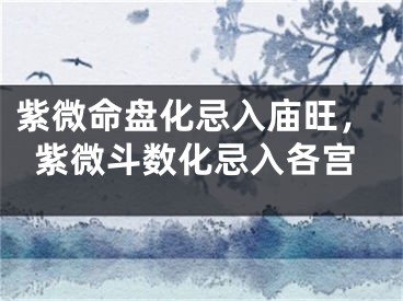 紫微命盘化忌入庙旺，紫微斗数化忌入各宫