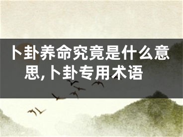卜卦养命究竟是什么意思,卜卦专用术语