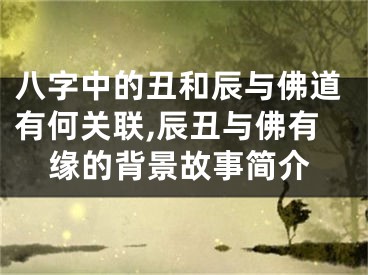 八字中的丑和辰与佛道有何关联,辰丑与佛有缘的背景故事简介
