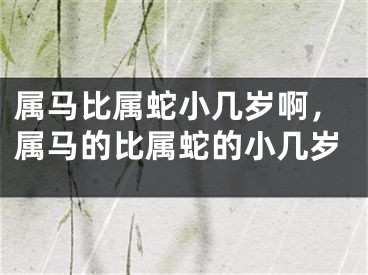属马比属蛇小几岁啊，属马的比属蛇的小几岁