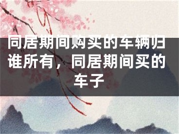 同居期间购买的车辆归谁所有，同居期间买的车子