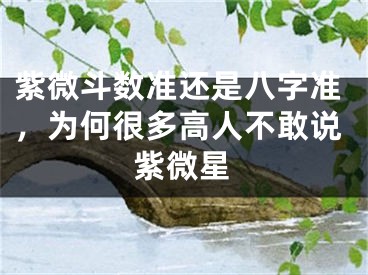 紫微斗数准还是八字准,为何很多高人不敢说紫微星