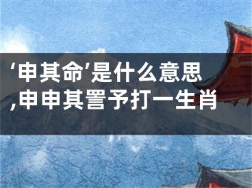 ‘申其命’是什么意思,申申其詈予打一生肖