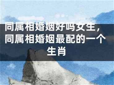 同属相婚姻好吗女生，同属相婚姻最配的一个生肖