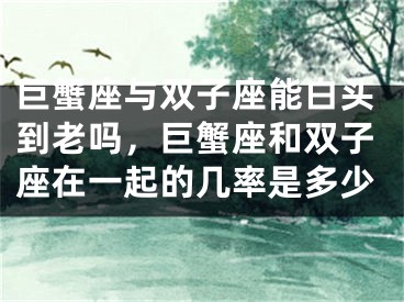 巨蟹座与双子座能白头到老吗，巨蟹座和双子座在一起的几率是多少