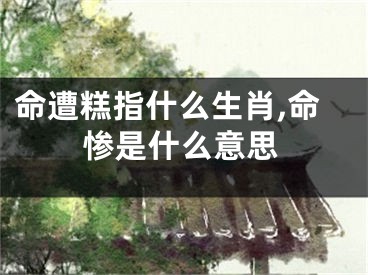 命遭糕指什么生肖,命惨是什么意思