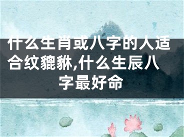 什么生肖或八字的人适合纹貔貅,什么生辰八字最好命