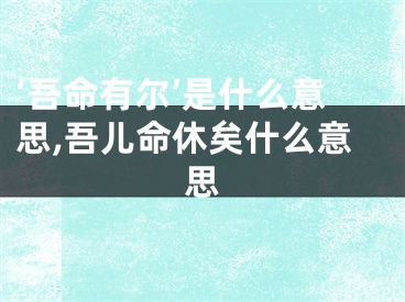 ‘吾命有尔’是什么意思,吾儿命休矣什么意思