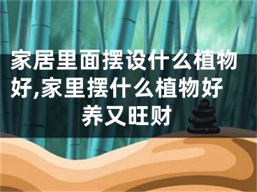 家居里面摆设什么植物好,家里摆什么植物好养又旺财