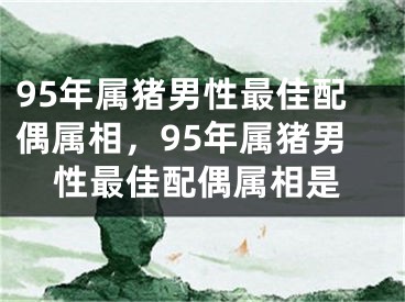 95年属猪男性最佳配偶属相，95年属猪男性最佳配偶属相是