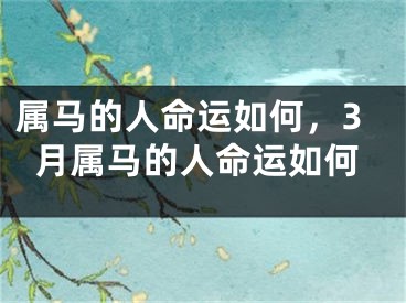 属马的人命运如何，3月属马的人命运如何