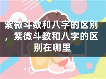 紫微斗数和八字的区别,紫微斗数和八字的区别在哪里