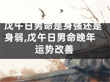 戊午日男命是身强还是身弱,戊午日男命晚年运势改善