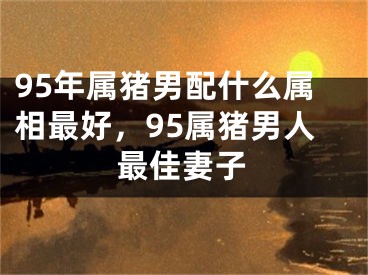 95年属猪男配什么属相最好，95属猪男人最佳妻子