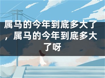 属马的今年到底多大了，属马的今年到底多大了呀