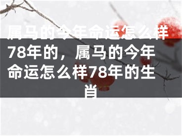 属马的今年命运怎么样78年的，属马的今年命运怎么样78年的生肖