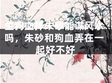 生狗血拌朱砂能谋风水吗，朱砂和狗血弄在一起好不好